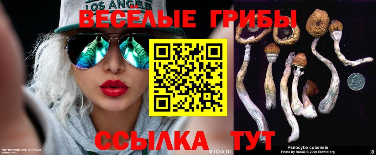 Видное  Псилоцибиновые грибы MAGIC MUSHROOMS  купить наркоту  Вход с VPN  Галлюциногенные грибы Psilocybe 